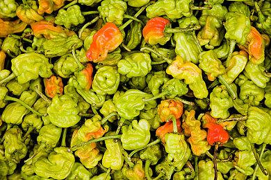 日本上半年NS销量仍超百万 6月最热游戏《路易吉洋馆2HD》